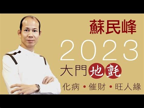 2023年門口地毯顏色蘇民峯